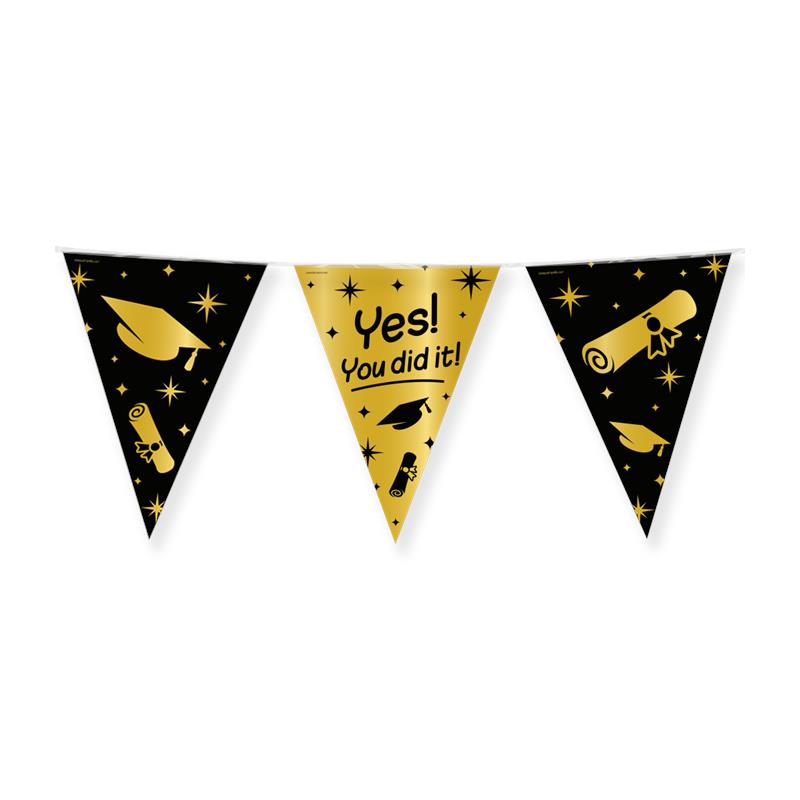 Classy Party flags foil You did it!
