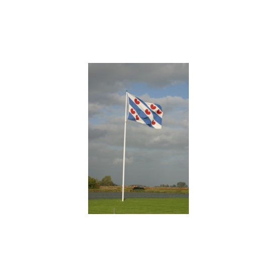 Vlag Friesland 100x150 cm