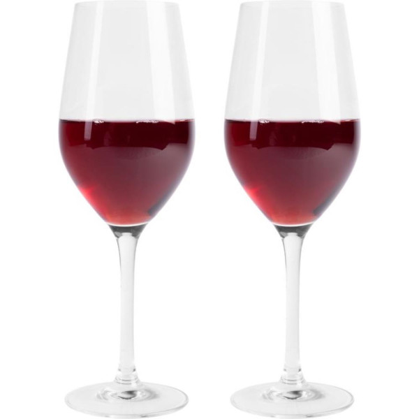L'atelier Du Vin set a 2 rode wijnglazen