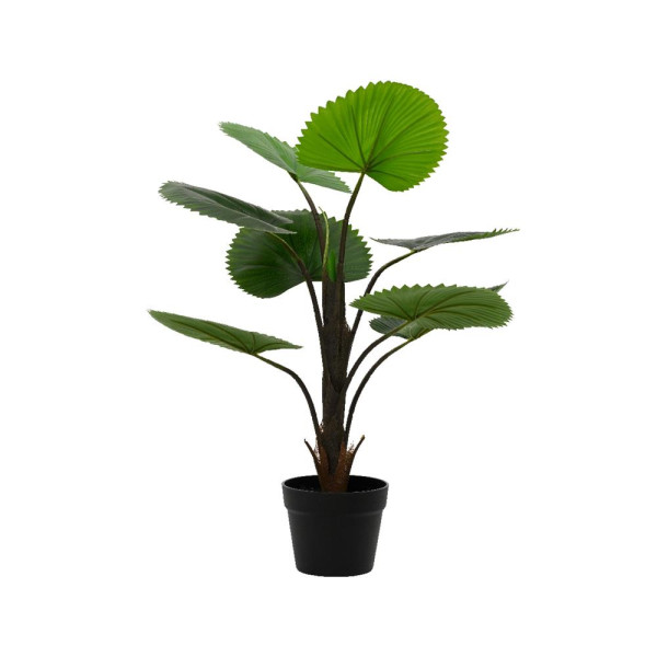 Kunstplant Licuala palm h75cm