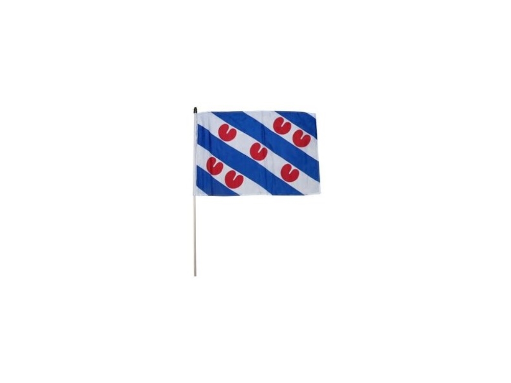 Friese Vlag Zwaaivlaggetje Friesland 30x45cm Per 12stuks