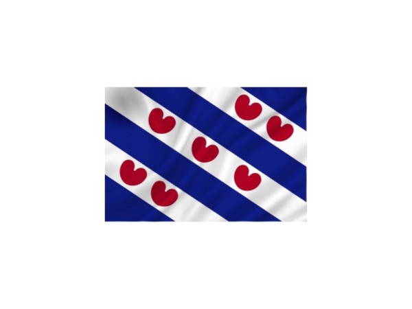 Vlag Friesland 50x75 cm spun-poly