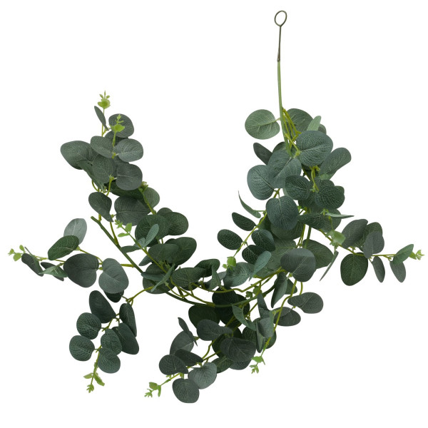 Plantenslinger Eucalyptus L75cm