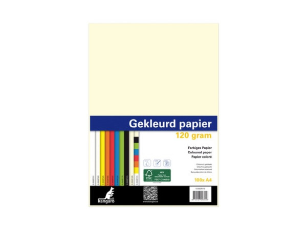 Kopieerpapier A4 120gr 100vel beige