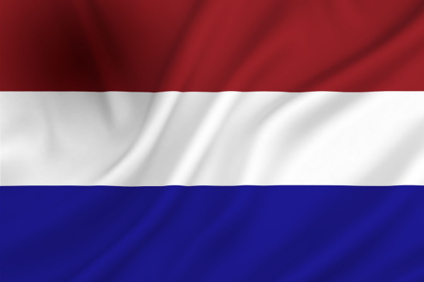 Vlag Nederland 50x75 cm spun-poly